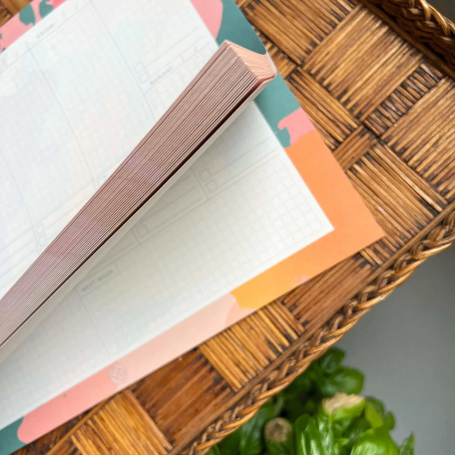 Weekplanner Juno 2 Weekplanner roze ongedateerd