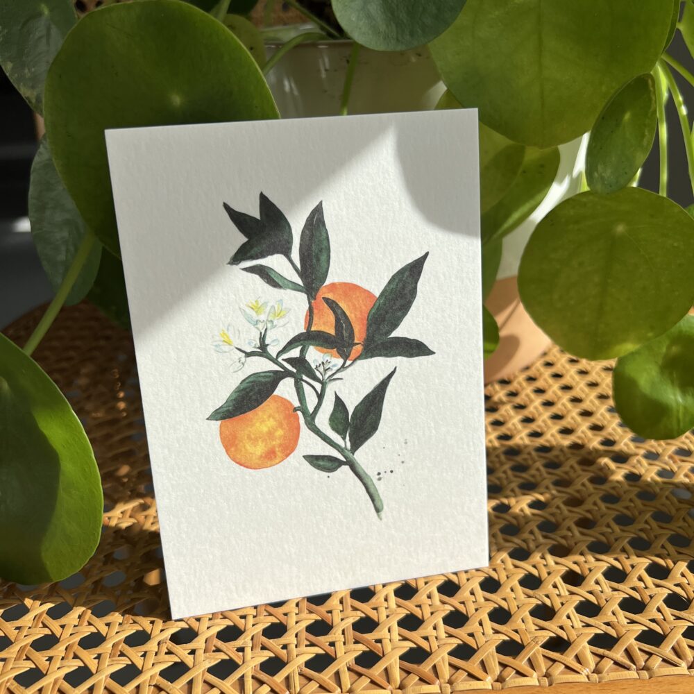 Witte kaart met sinaasappels in aquarelstijl – Ansichtkaart Sinaasappels