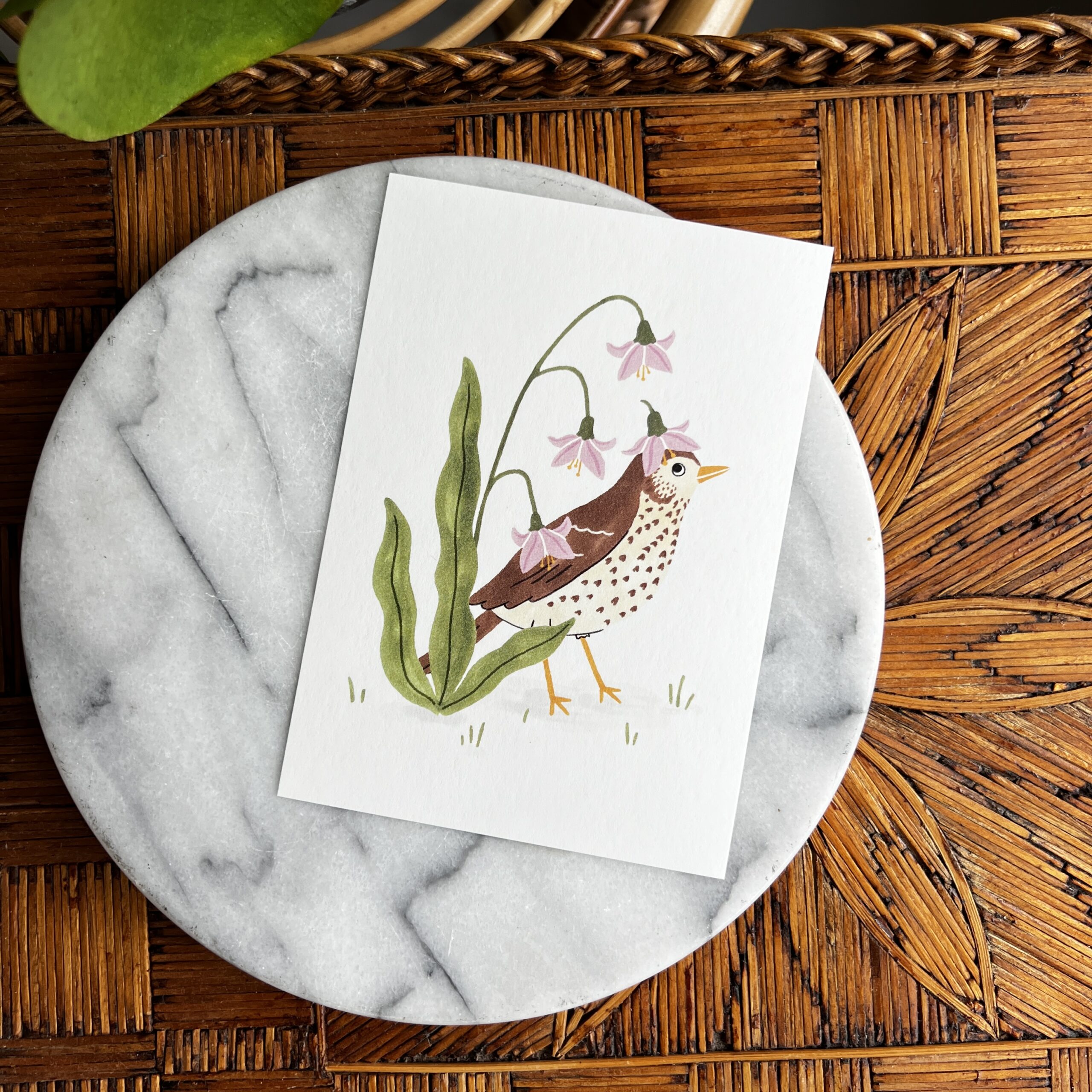 Ansichtkaart Zanglijster 1 Kaartje met zanglijster en bloempje