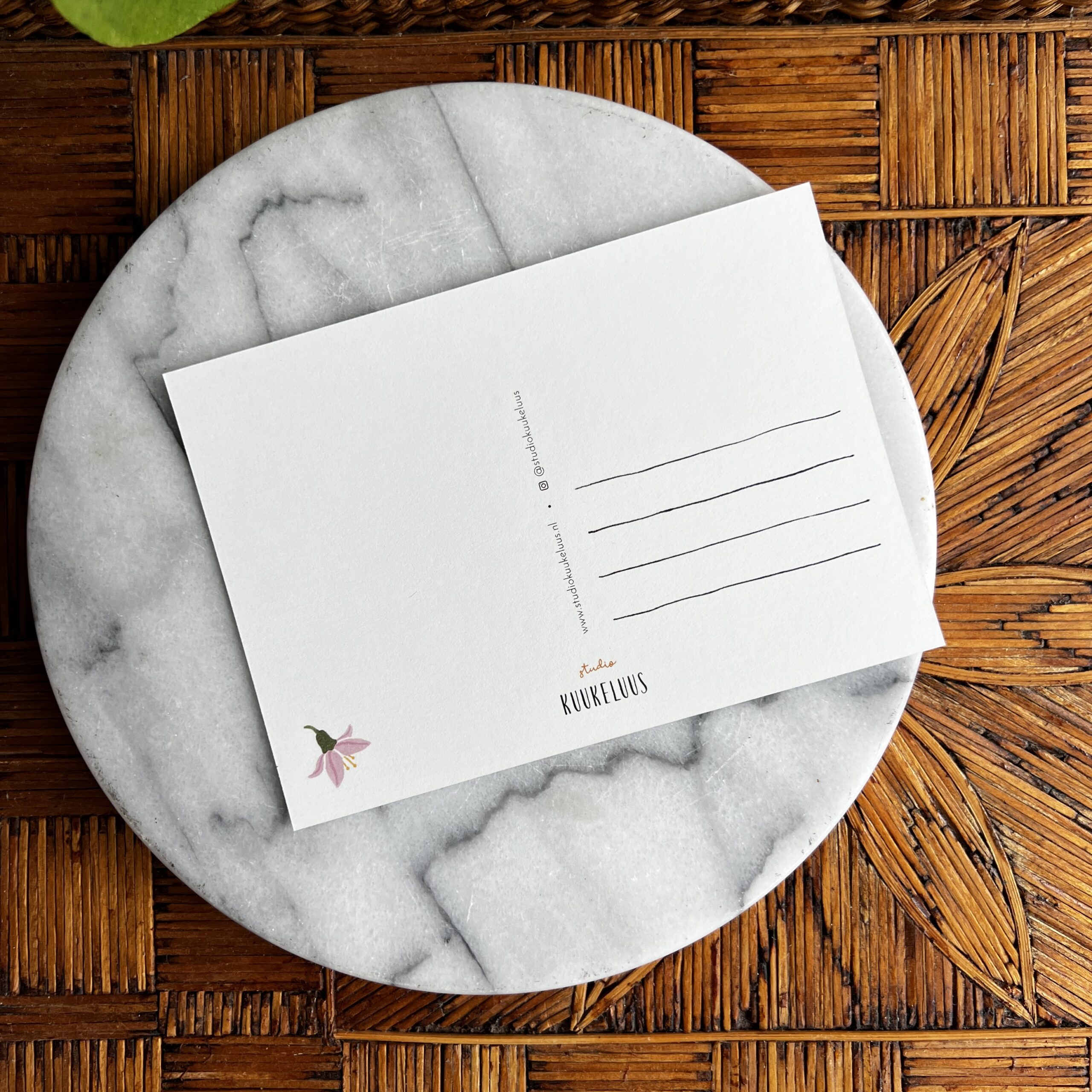 Ansichtkaart Zanglijster 2 Illustratie van zanglijster met bloem