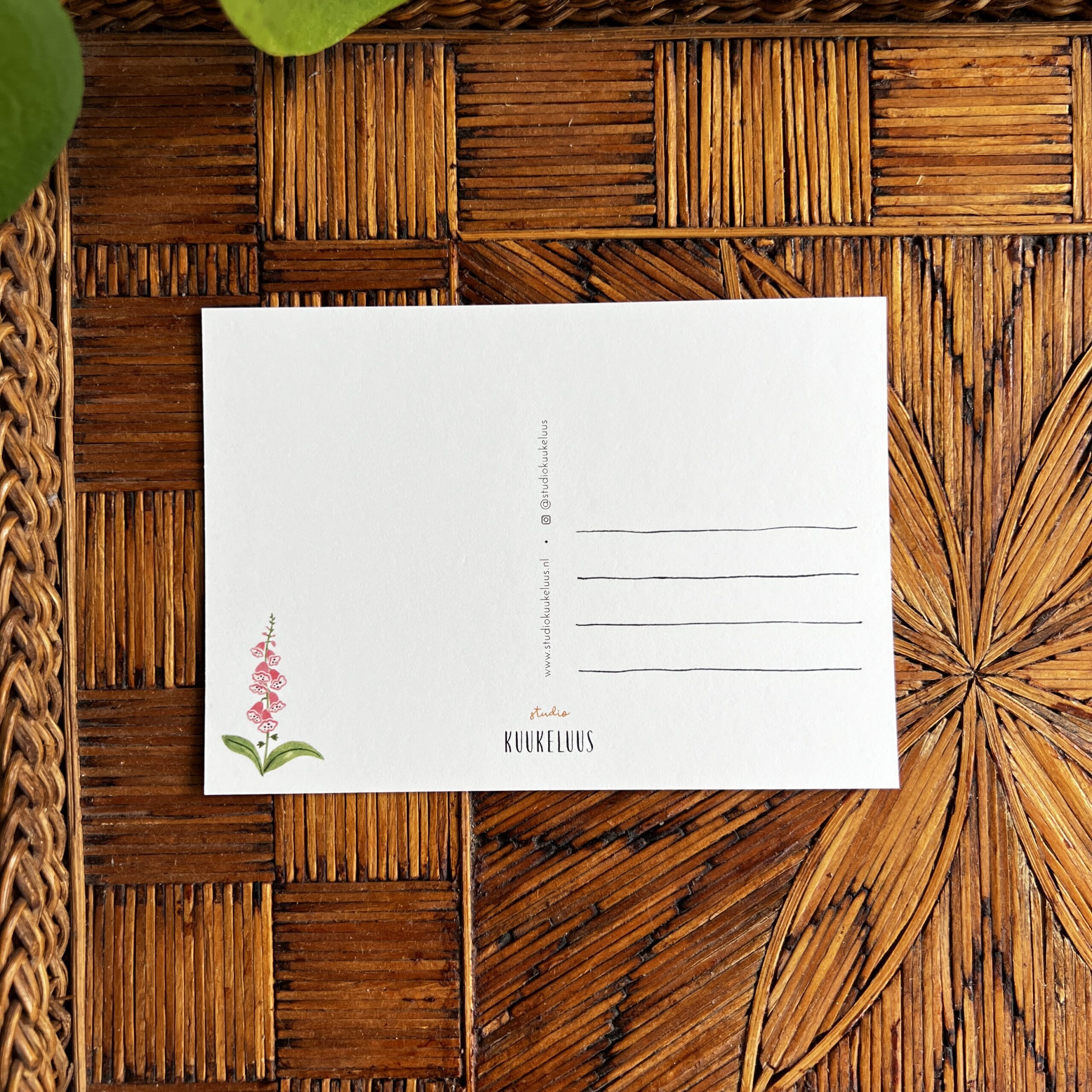 Ansichtkaart Vrolijke Vos 2 Illustratie van vosje met vingerhoedskruid en varens